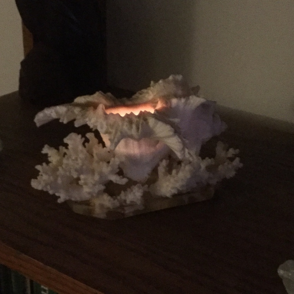 Candle